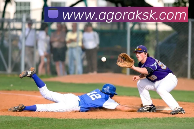 App Interface Preview